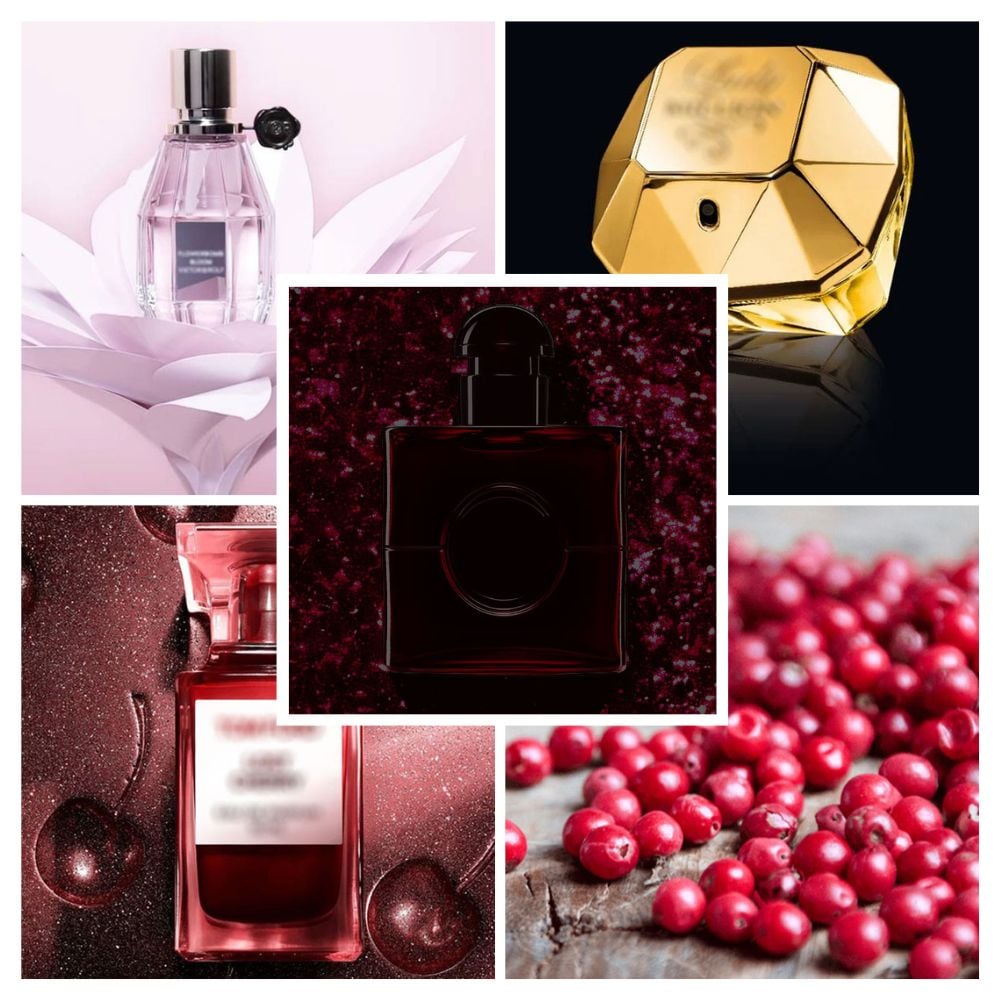 Collection inspirée du parfum Cosy Owl - (Lot de 5)