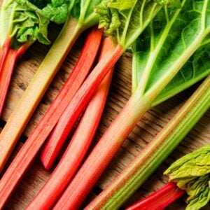 Huile parfumée à la rhubarbe sauvage TWC