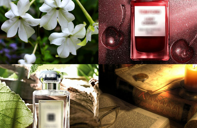 New Cosy Owl Premium Candle Fragrances Cosy Owl