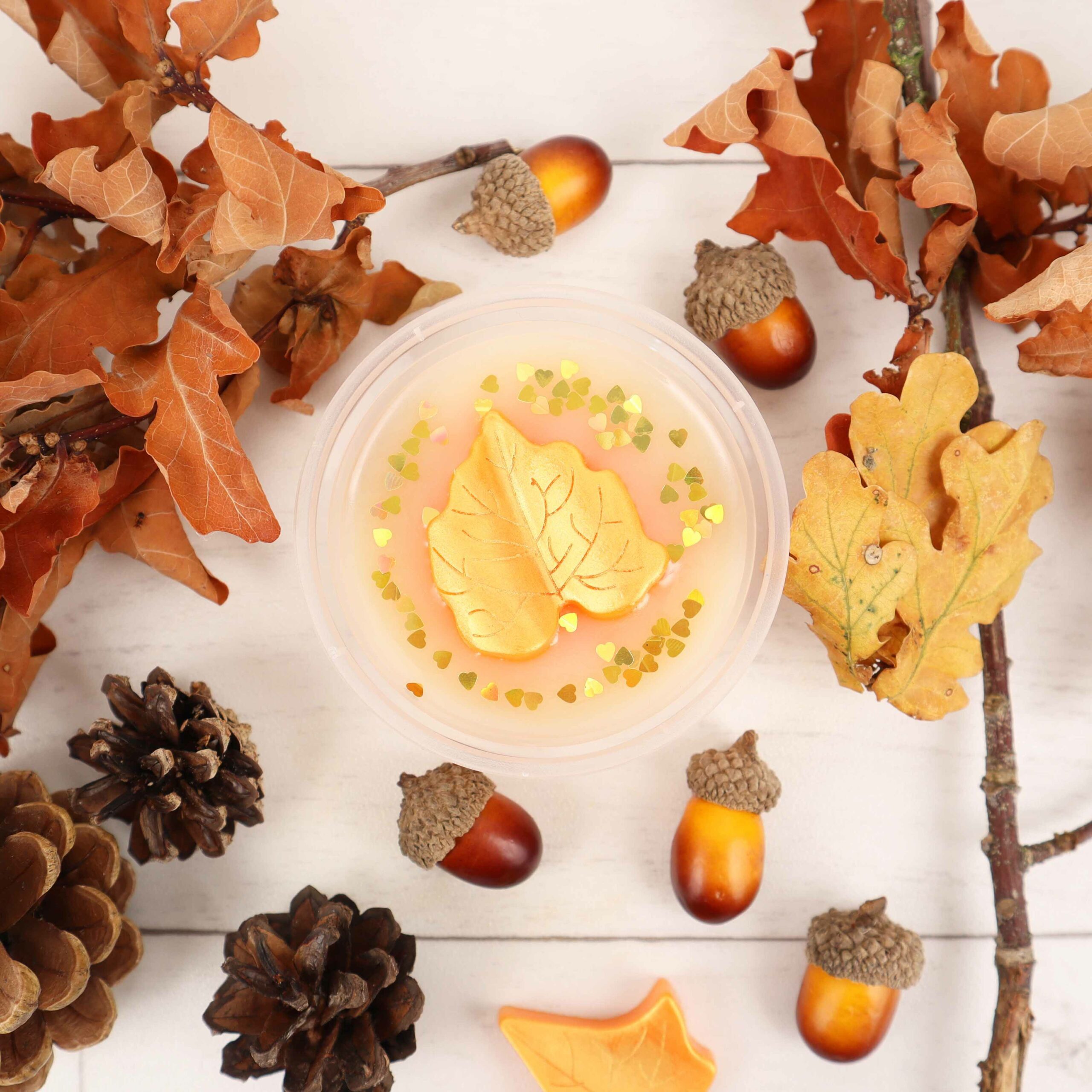 4oz Wax Melt Plastic Melt Pots With Lid Cosy Owl