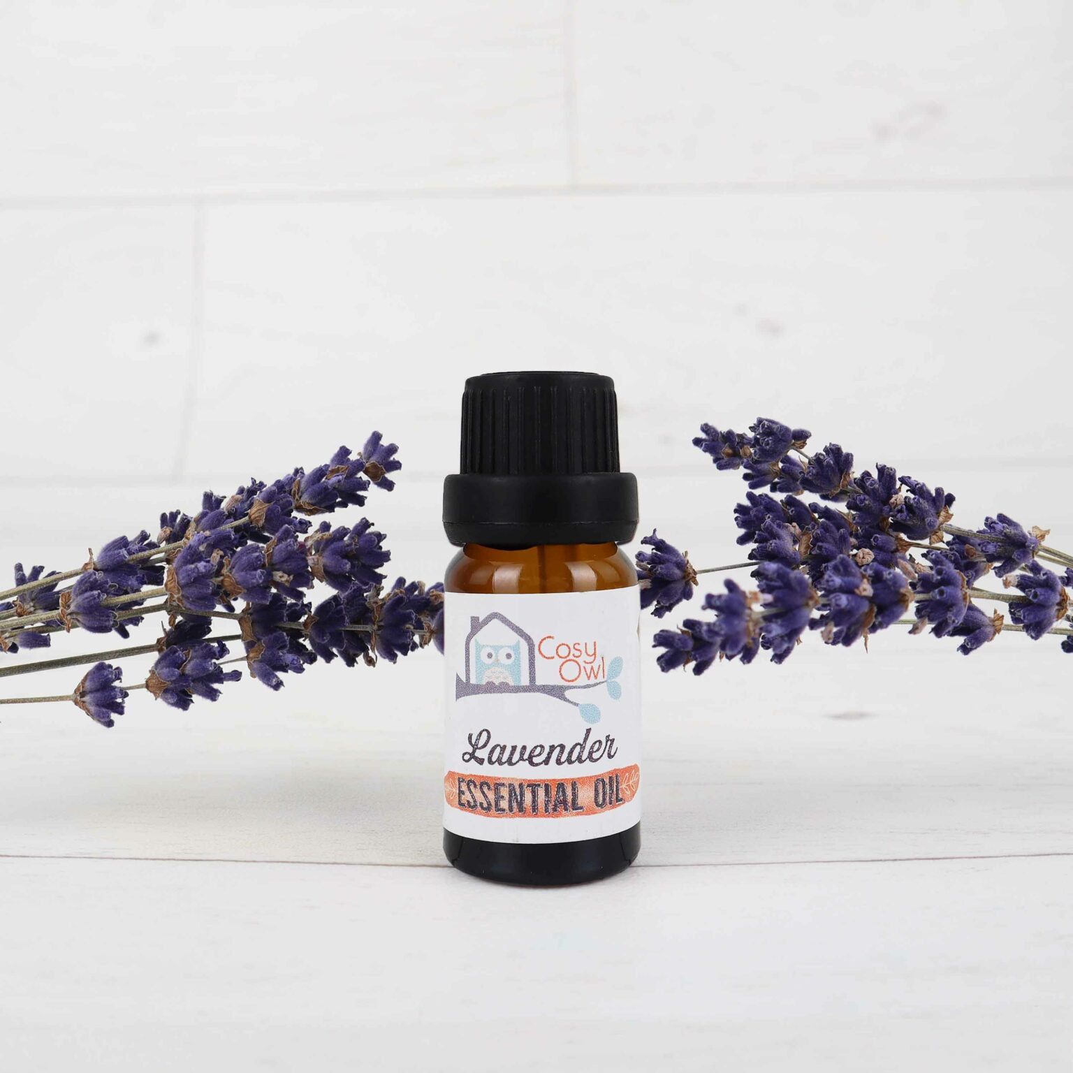 Essential Oils Cosy Owl, Candle Making Supplies & Soap Making Craft