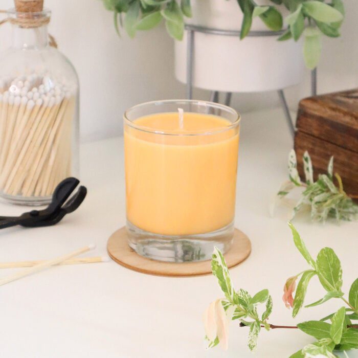 Candle Making Kits Cosy Owl, Candle Making Supplies & Soap Making