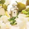 Cosy Owl Premium English Pear & Freesia Fragrance Oil