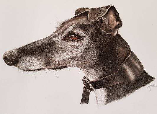 Michelle Gooderham Podthiki pet and Animal Portraits Suffolk 1