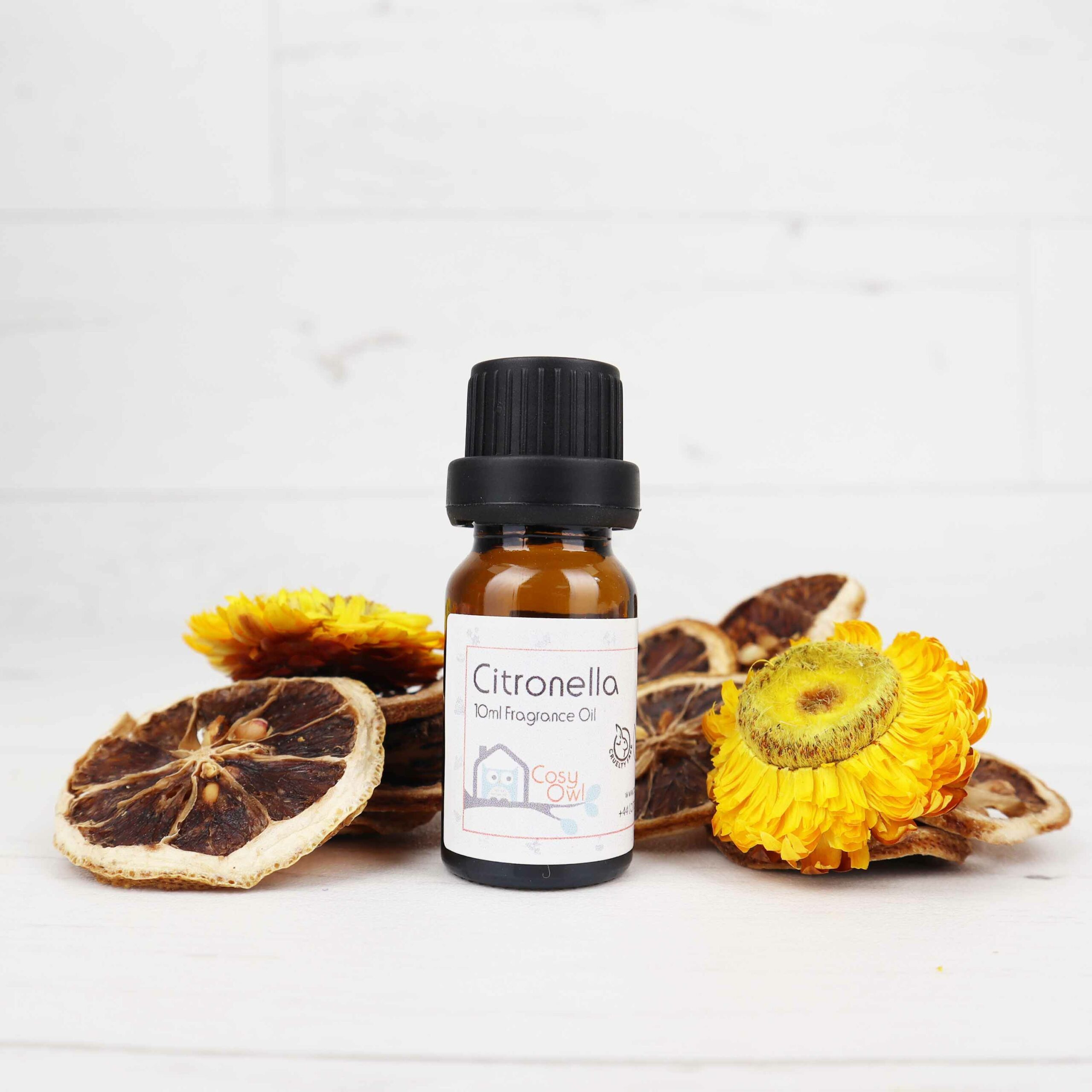 Citronella Fragrance Oil Cosy Owl The Home of Candle Making Supplies