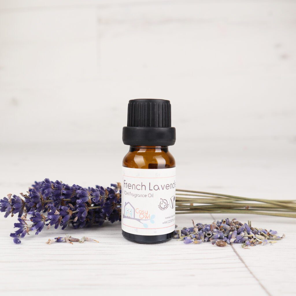 French Lavender Fragrance Oil Cosy Owl