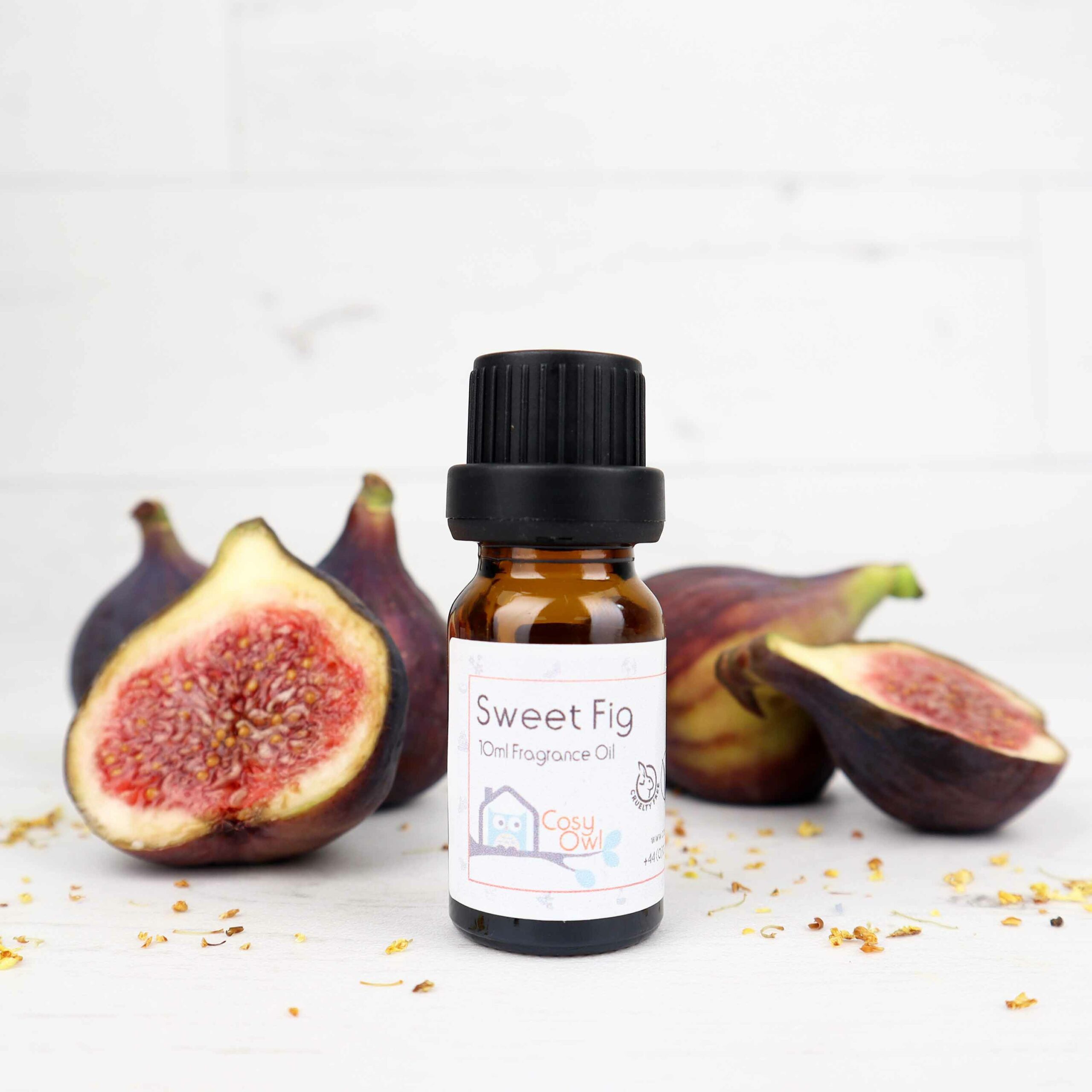 Sweet Fig Fragrance Oil Cosy Owl The Home of Candle Making Supplies