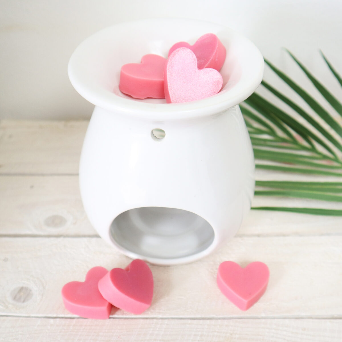 Wax Melt Mould Hearts 10 Cosy Owl