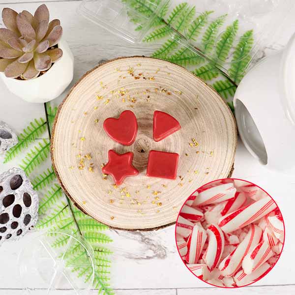 Candy Cane Wax Melt Making Kit Cosy Owl