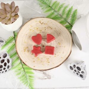 Candy Cane Wax Melt Making Kit
