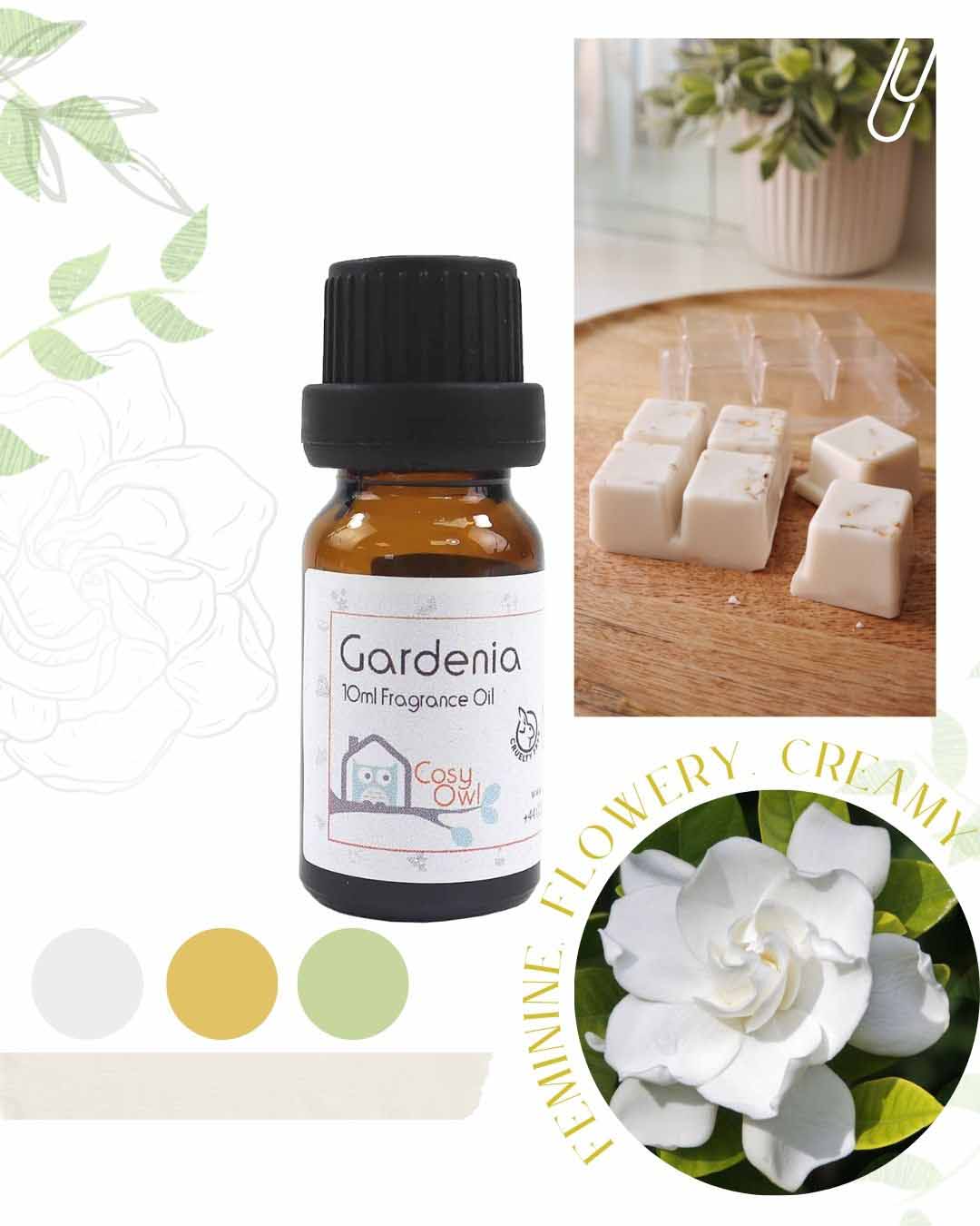 Gardenia (our version) Fragrance Oil — Stone Candles