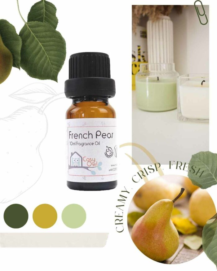 Spring Fragrance Oils Cosy Owl