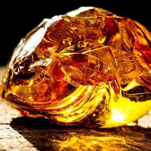 fragrance egyptian amber NEGY