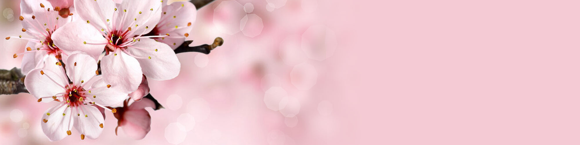 to Cosy Owl Candle Suppliers, please make yourself at home... Cosy Owl