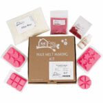 Rhubard custard wax melt kit