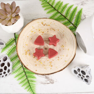 Frosted Cranberries Wax Melt Making Kit