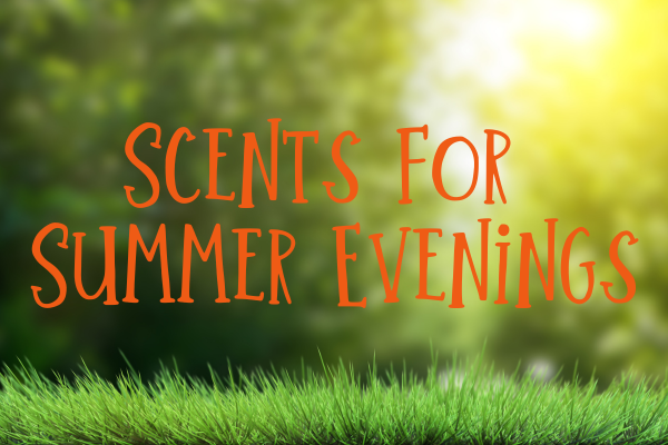 CO Summer Evenings